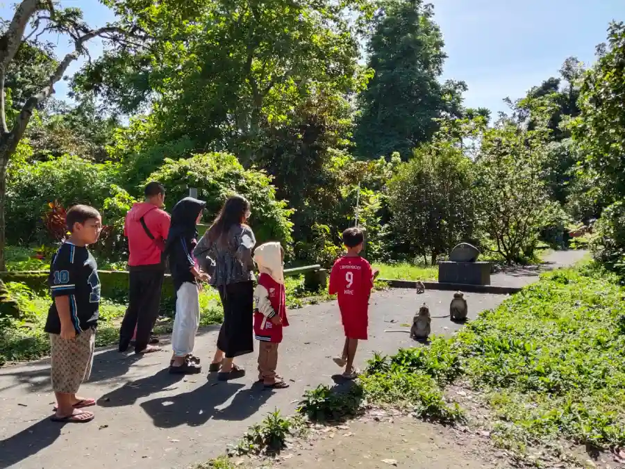 Libur Sekolah, Alas Simpenan Kediri Jadi Favorit Anak-anak untuk Lihat Monyet dan Nikmati Alam