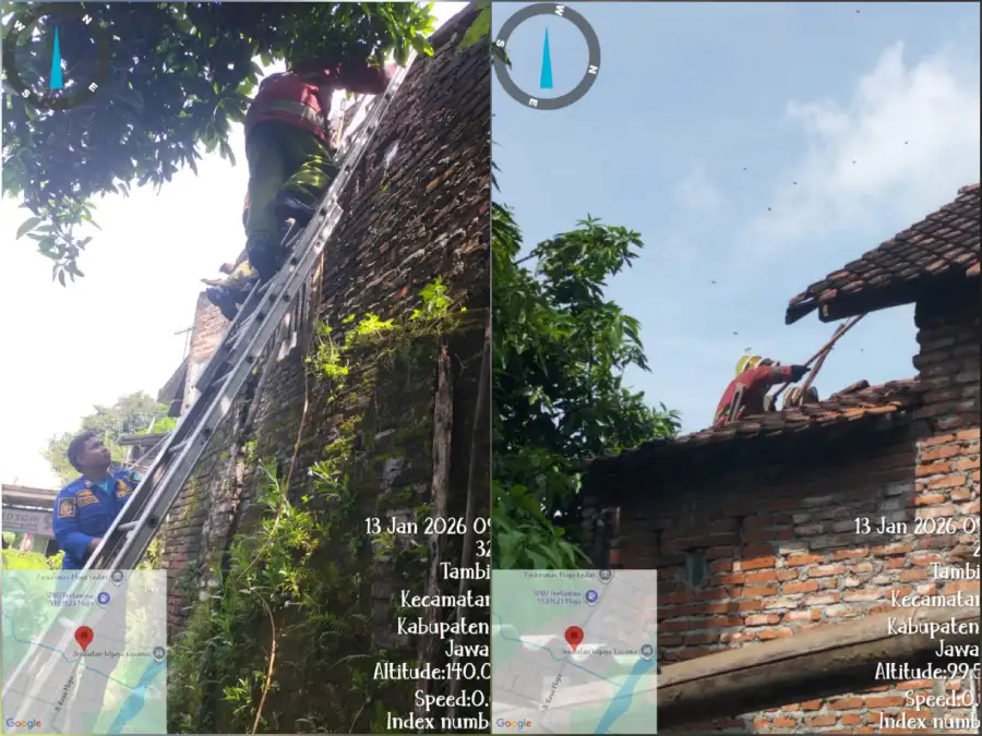 Sengat Warga, Tim Damkar Kabupaten Kediri Evakuasi Sarang Tawon Vespa di Atap Rumah