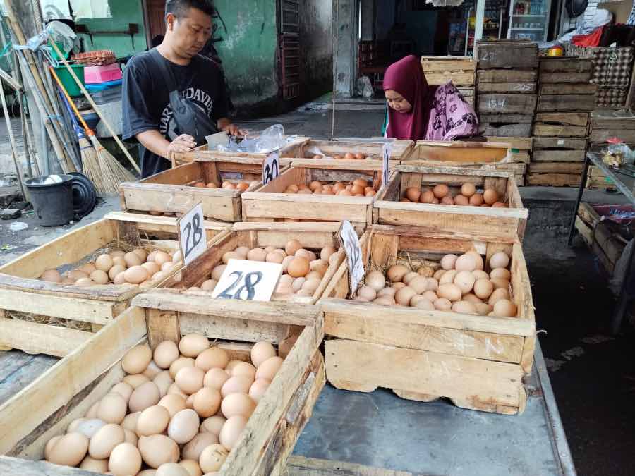 Jelang Ramadan, Harga Telur dan Ayam di Kediri Kompak Naik