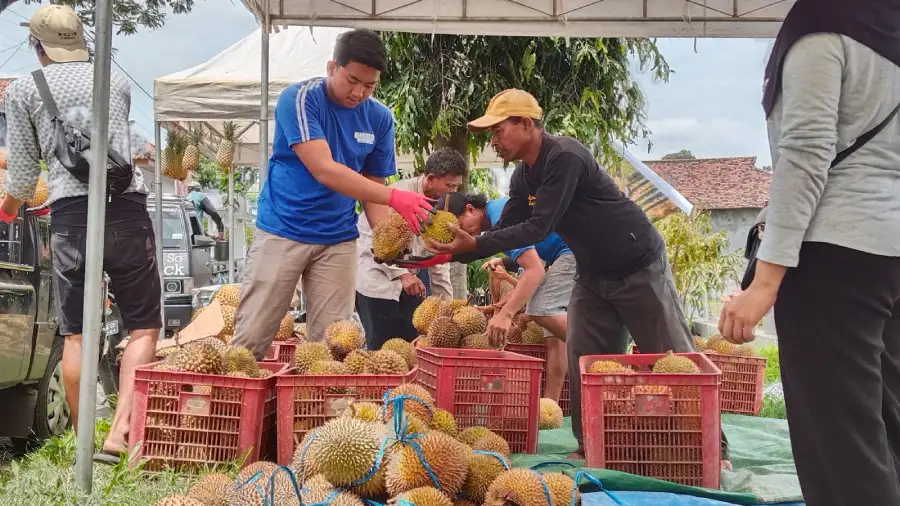 Fokus Ekonomi Desa, Jamboren Kebonrejo Kediri Hadirkan Bazar Durian dan UMKM