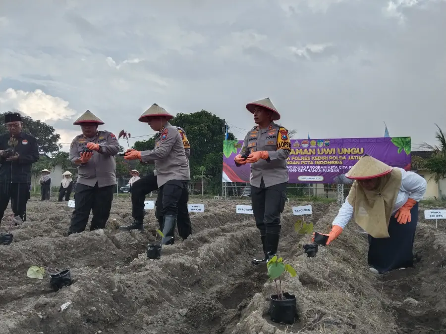 Dukung Ketahanan Pangan Asta Cita, Polres Kediri Tanam 3.000 Bibit Uwi Ungu