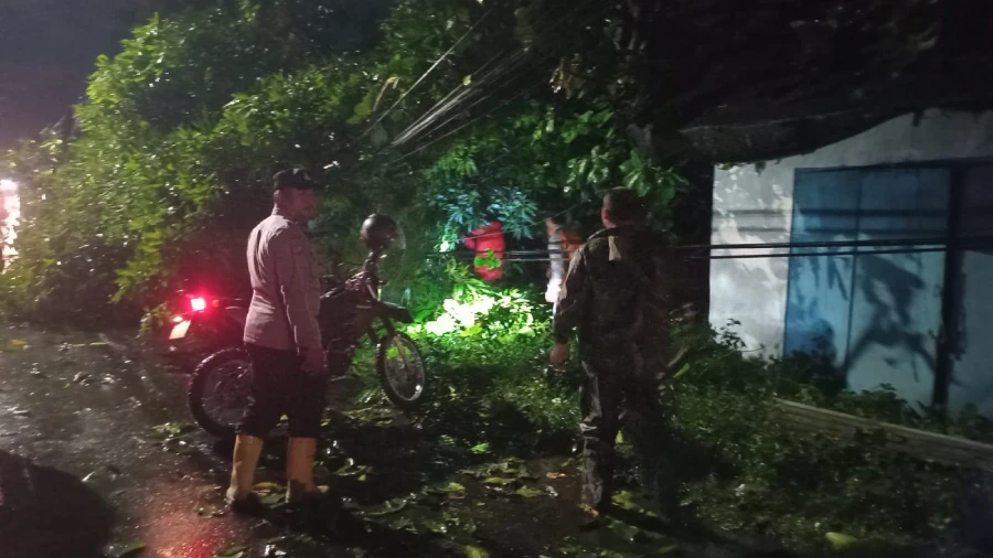 Cuaca Ekstrem, Pohon Besar di Gadungan Kediri Roboh, Hantam Dua Rumah Warga