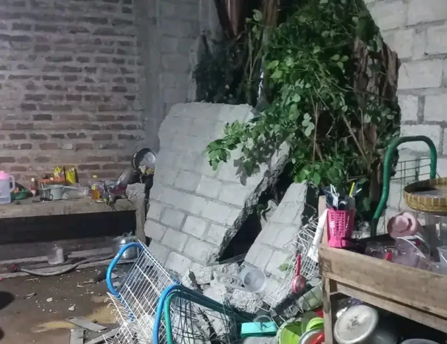 Cuaca Ekstrem di Kediri Picu Longsor dan Belasan Titik Pohon Tumbang