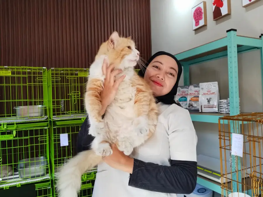 Mudik Aman, Hewan Nyaman: Layanan Penitipan Allovet Kediri Diserbu Pemilik “Anak Bulu”