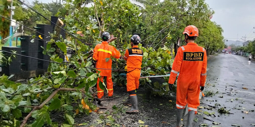 Hujan Deras dan Angin Kencang Terjang Kediri, Pohon Tumbang-14 Atap Rumah Rusak