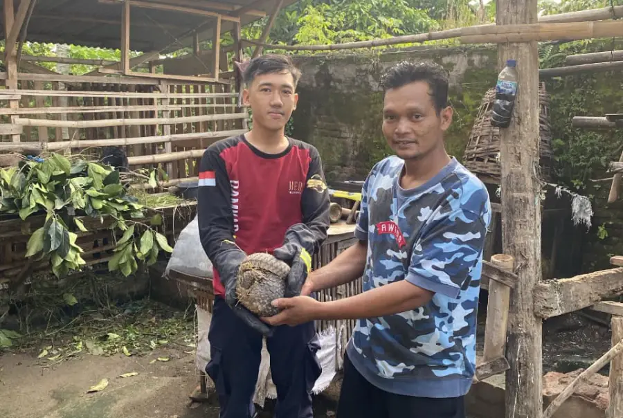 Kemunculan Satwa Lindung di Kandang Kambing Gegerkan Warga Kediri