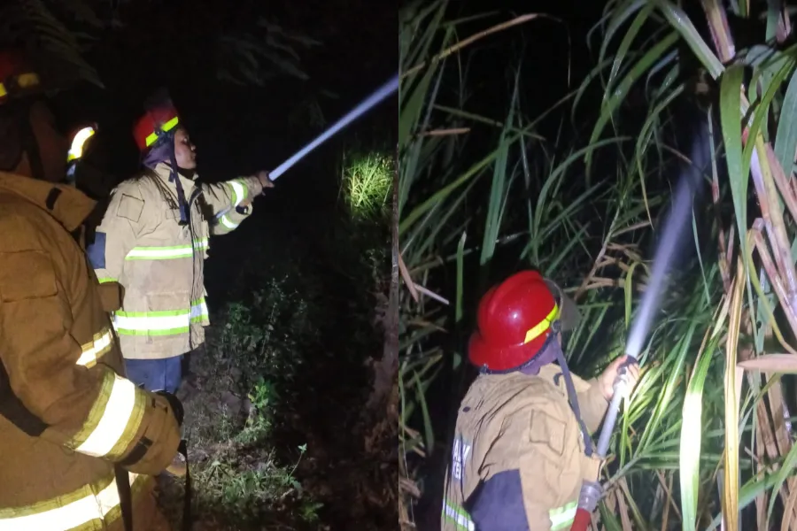 Diduga Gara-gara Puntung Rokok, 5,5 Hektare Lahan Tebu di Tarokan Kediri Terbakar