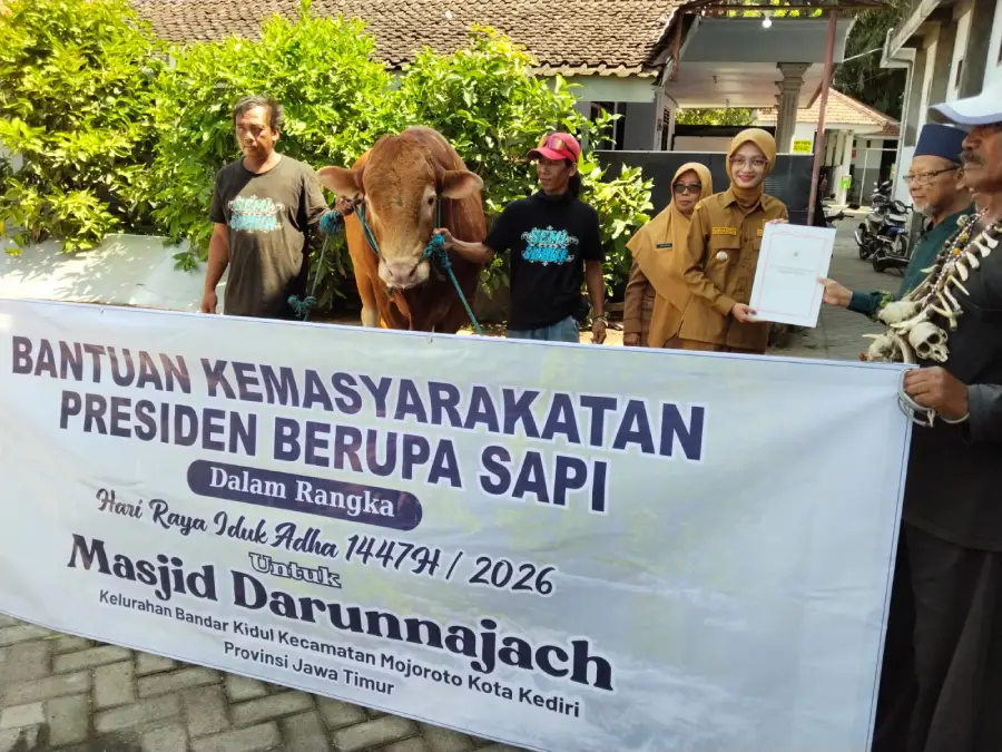 H-1 Iduladha, Wali Kota Kediri Salurkan Sapi Kurban Presiden Berbobot 880 Kg ke Masjid Darunnajach