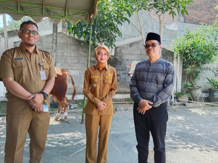 Pemkot Kediri Salurkan Sapi Kurban ke Masjid Agung, Mbak Wali Tekankan Semangat Gotong Royong