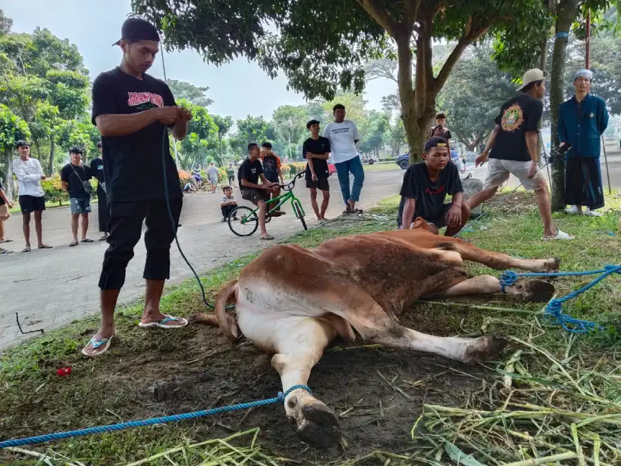 Tak Ada Sapi Presiden, Hari Raya Kurban di Masjid Agung An-Nur Pare Kediri Tetap Semarak