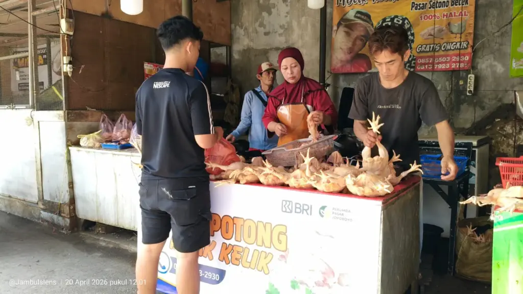 UMKM Binaan BRI Kediri Raup Omzet Ratusan Juta dari Bisnis Ayam Potong