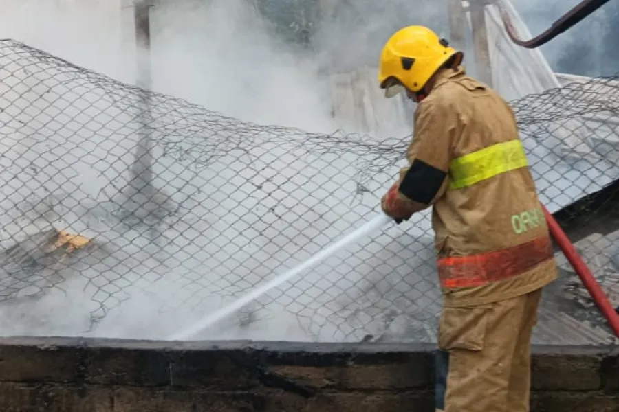 Diduga Korsleting Listrik, Kandang Ayam di Wates Kediri Terbakar, Kerugian Capai Rp400 Juta