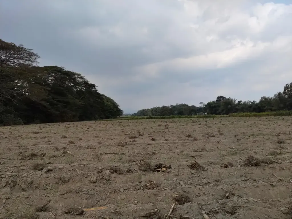 Meski Sempat Diguyur Hujan, BMKG Pastikan Kediri Masih Memasuki Puncak Musim Kemarau