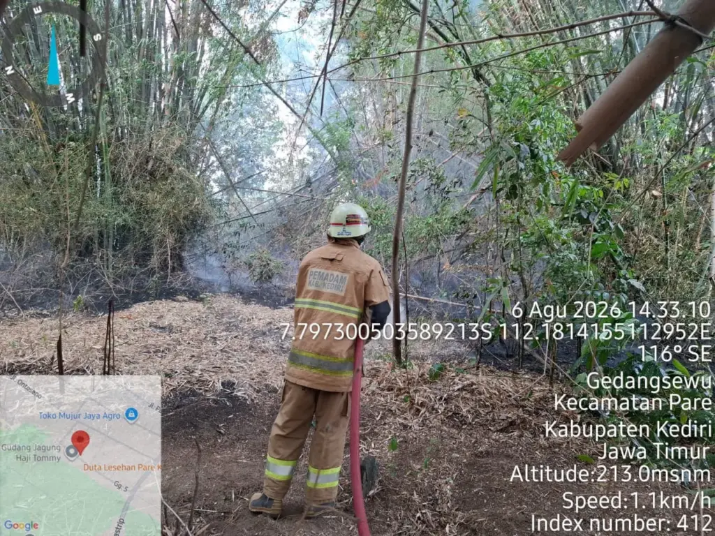 Api Lahap 11 Rumpun Bambu di Gedangsewu Pare, Respons Cepat Damkar Cegah Merembet ke Permukiman