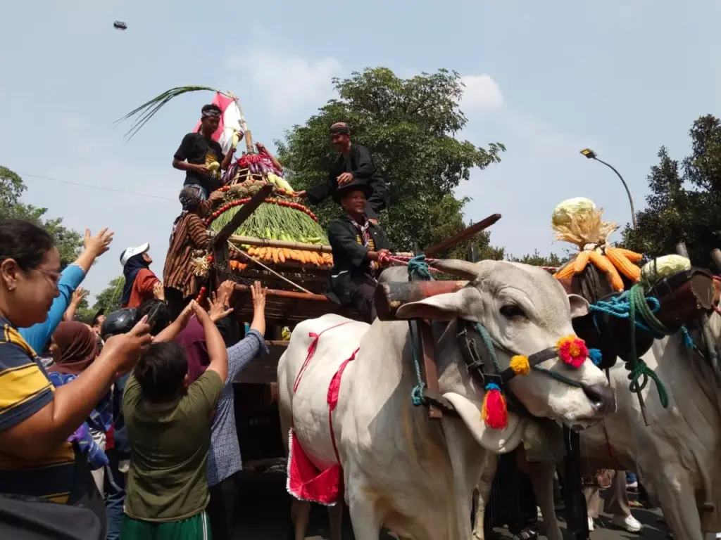 Bukan Sekadar Tradisi, Parade Cikar Kediri Dorong Generasi Muda Kenal Potensi Ekonomi Peternakan