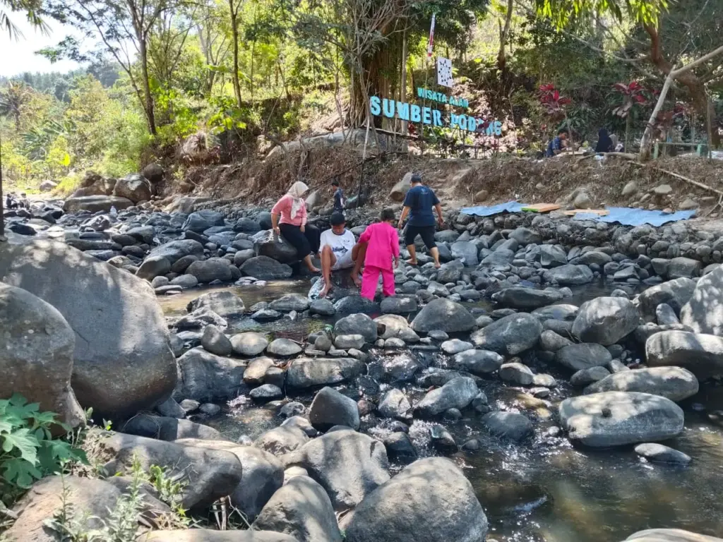 Kemarau Panjang, Debit Air Sumber Podang Kediri Menyusut hingga Bebatuan Sungai Terlihat