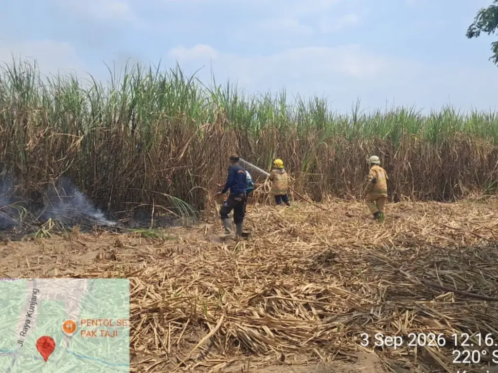 Tiga Kebakaran Terjadi Hampir Bersamaan di Kediri, Lahan Tebu hingga Silo Pabrik Terbakar