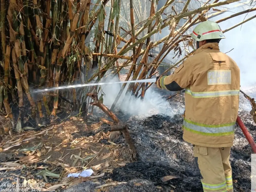 Angin Kencang Picu Dua Kebakaran di Kediri, Lahan Tebu hingga Area RWS Terbakar