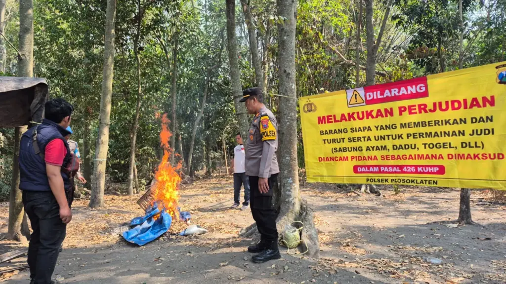Polsek Plosoklaten Kediri Bakar Sarana Judi Sabung Ayam di Plosorejo